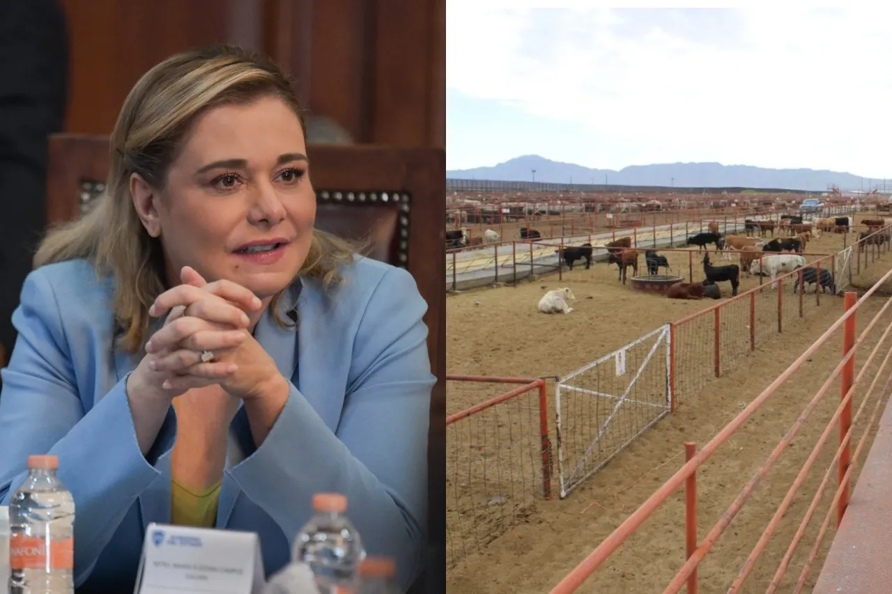 Maru reafirma apoyo a ganaderos ante cierre de fronteras por gusano barrenador