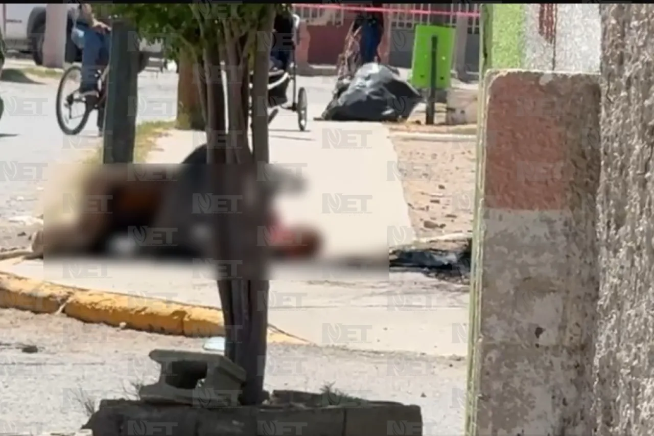 Escuchan gritos de ayuda y hallan a 2 personas sin vida en Parajes del Sol