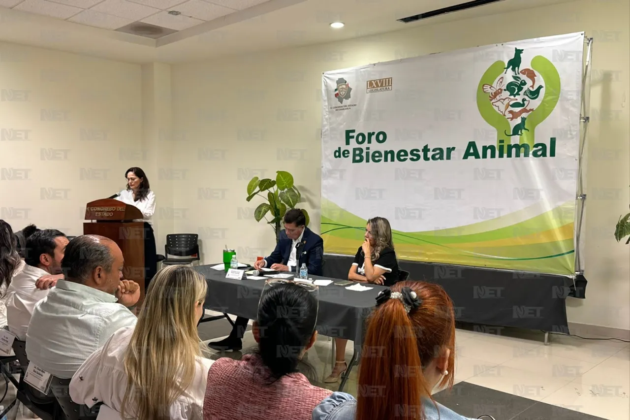 Proponen reforma a ley de bienestar animal en foro del Congreso
