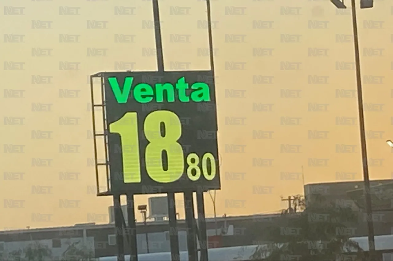 Así cotiza hoy el dólar