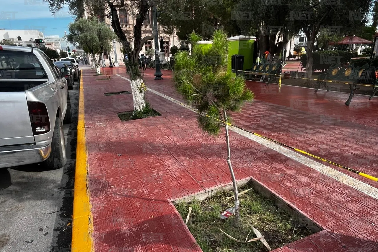 Dan 'manita de gato' a Plaza Hidalgo