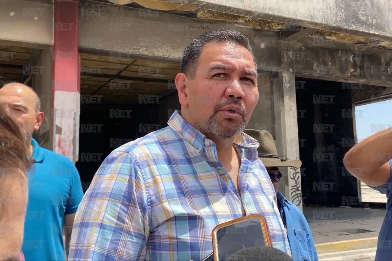 Dámaris Arellanes