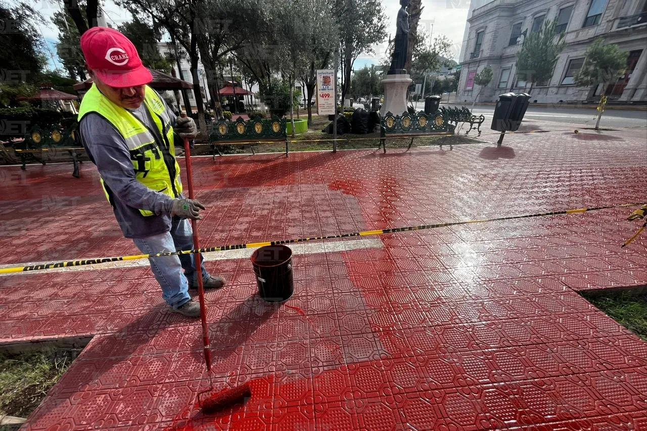 Dan 'manita de gato' a Plaza Hidalgo