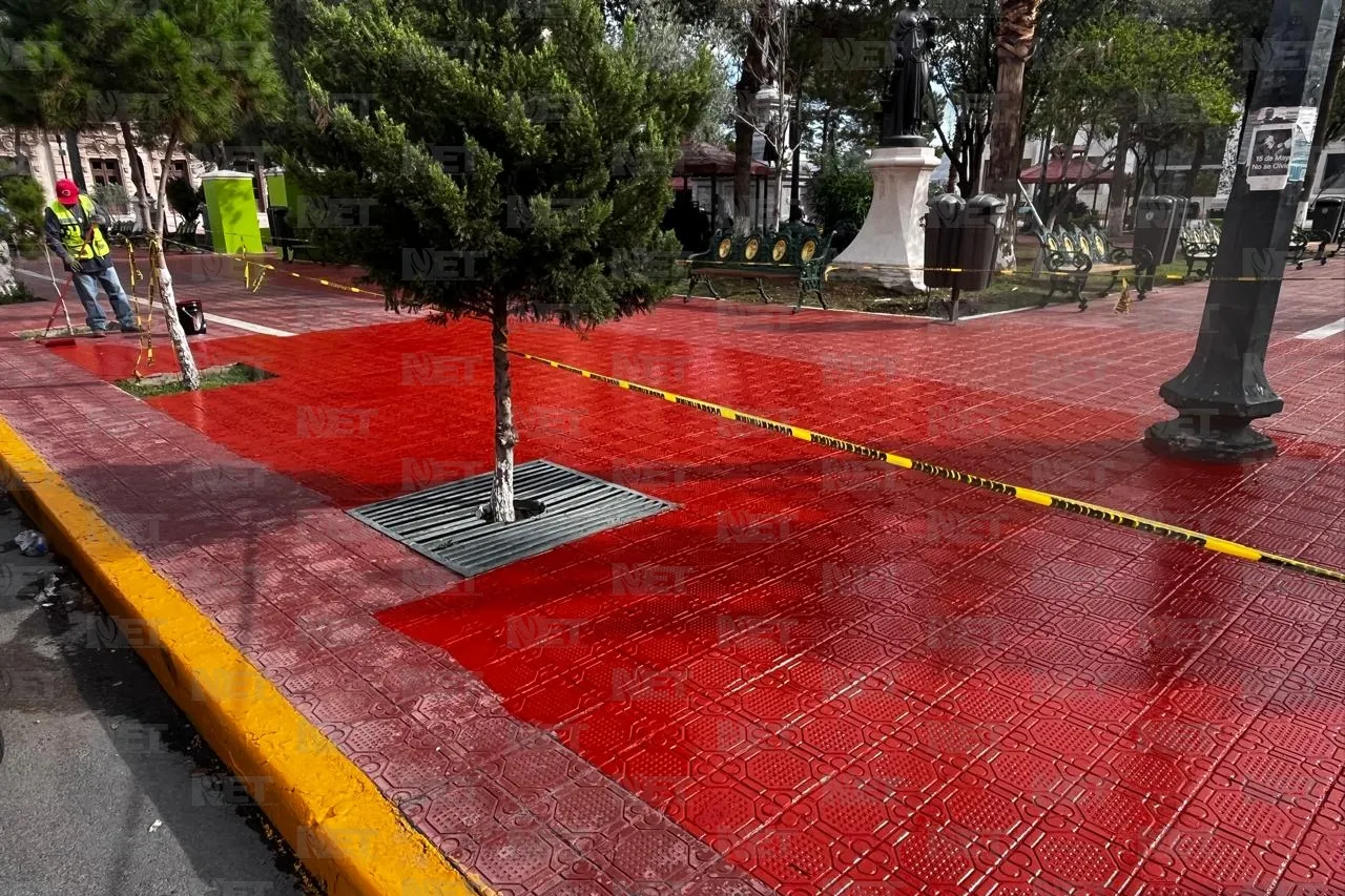 Dan 'manita de gato' a Plaza Hidalgo