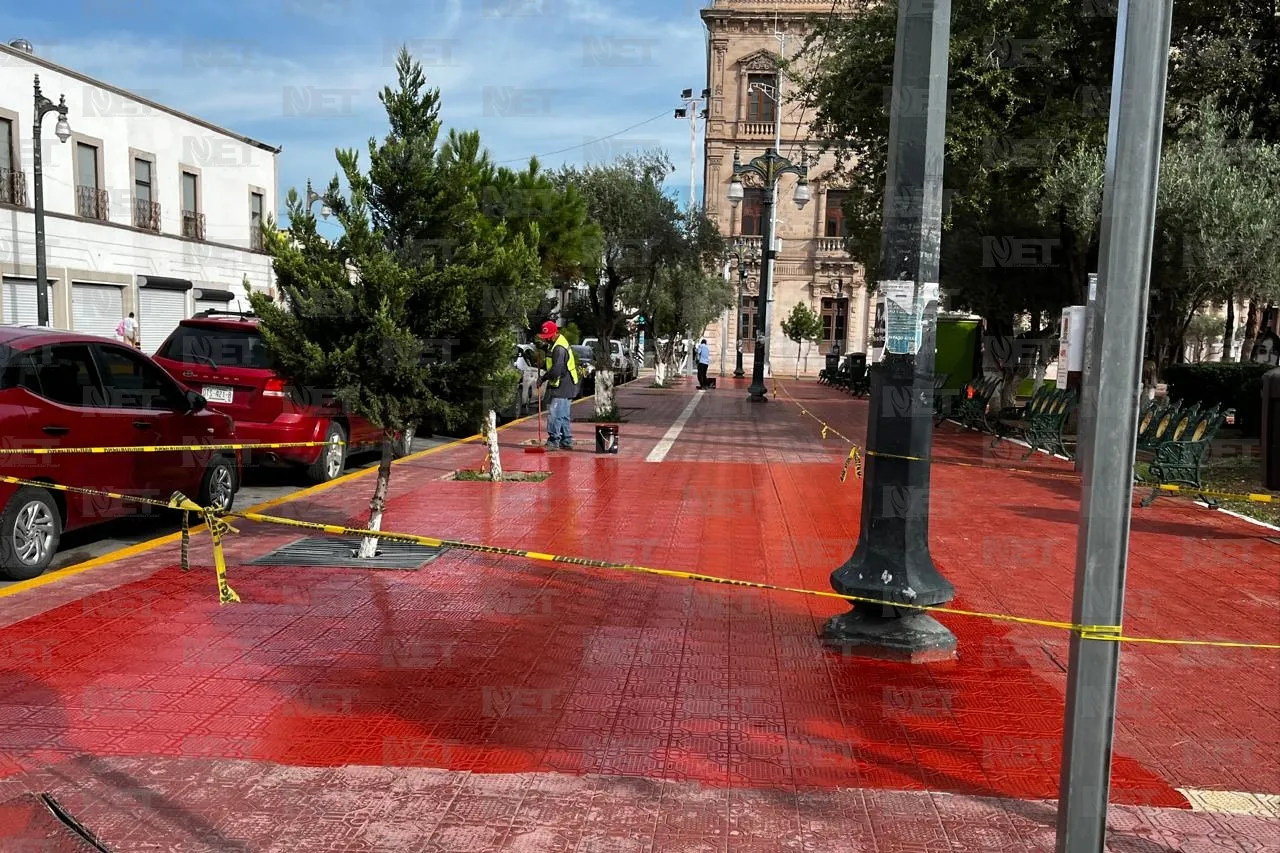 Dan 'manita de gato' a Plaza Hidalgo