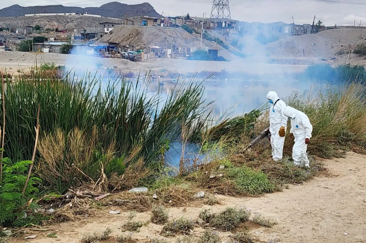 Controlan mosquitos en colonias del poniente de Juárez