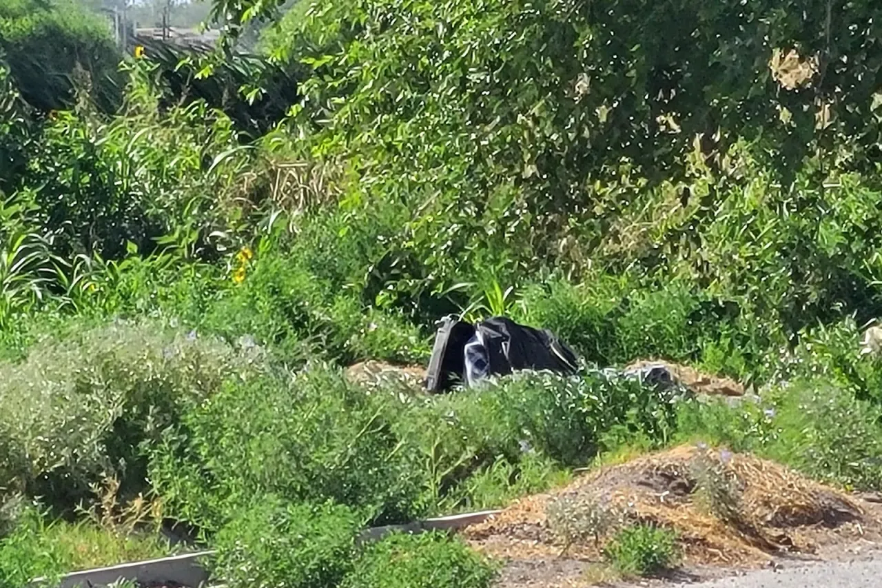 Hallan cuerpo dentro de maleta en terreno baldío en Riberas