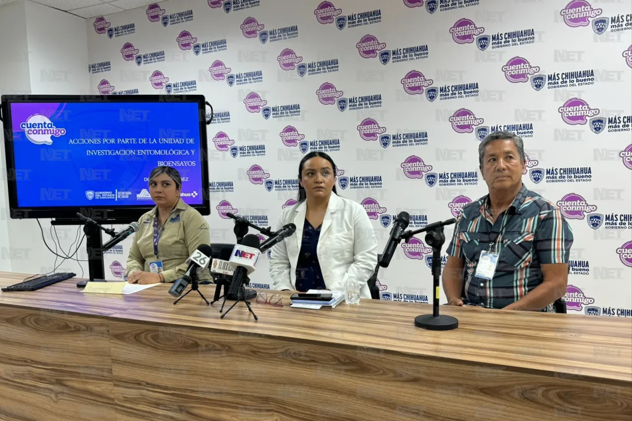 Salud descarta dengue en Juárez tras análisis de 8 pacientes