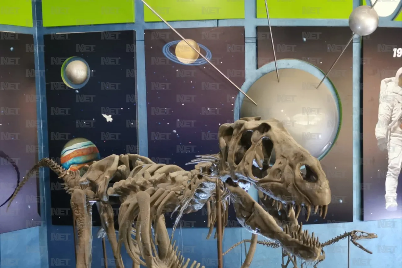 Descubre la ciencia detrás de Pokemon en La Rodadora