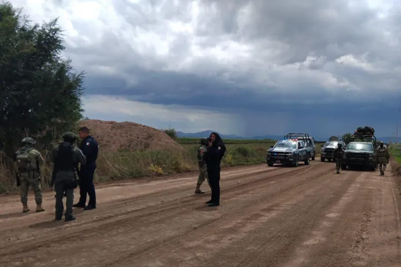 Encuentra cadáver en descomposición en campo menonita de Cuauhtémoc