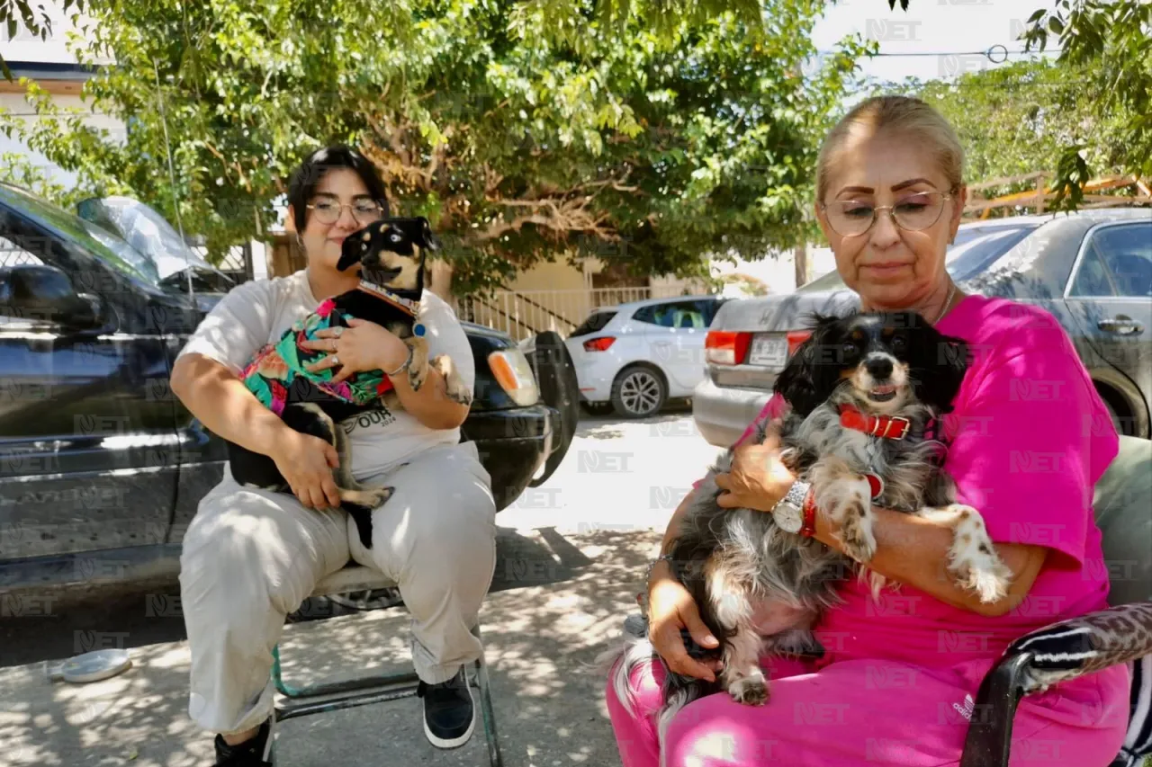 Invitan a festival canino en Villahermosa