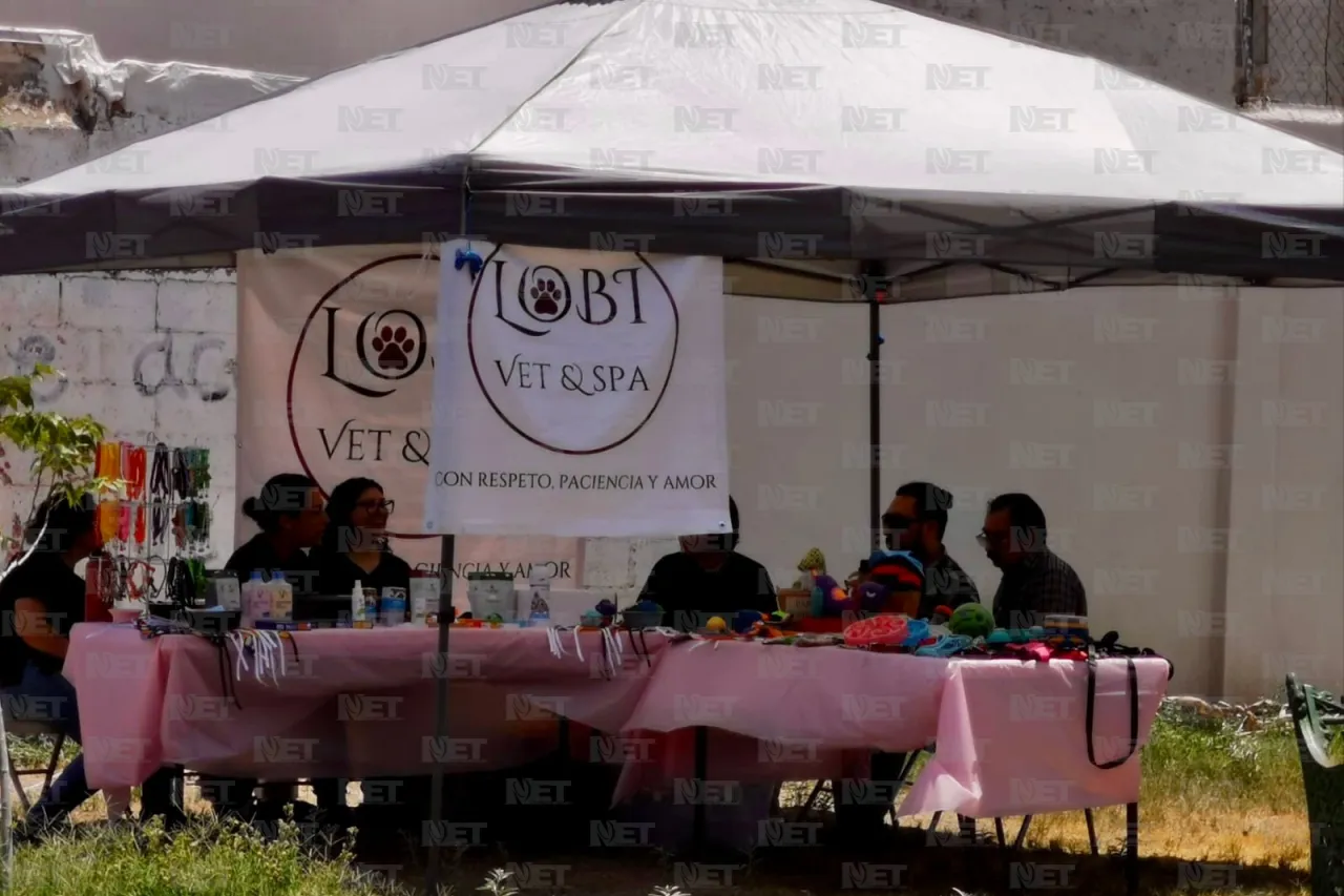 Invitan a festival canino en Villahermosa