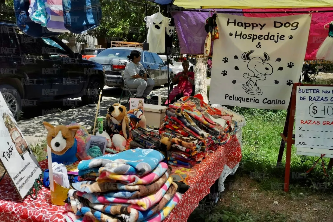 Invitan a festival canino en Villahermosa