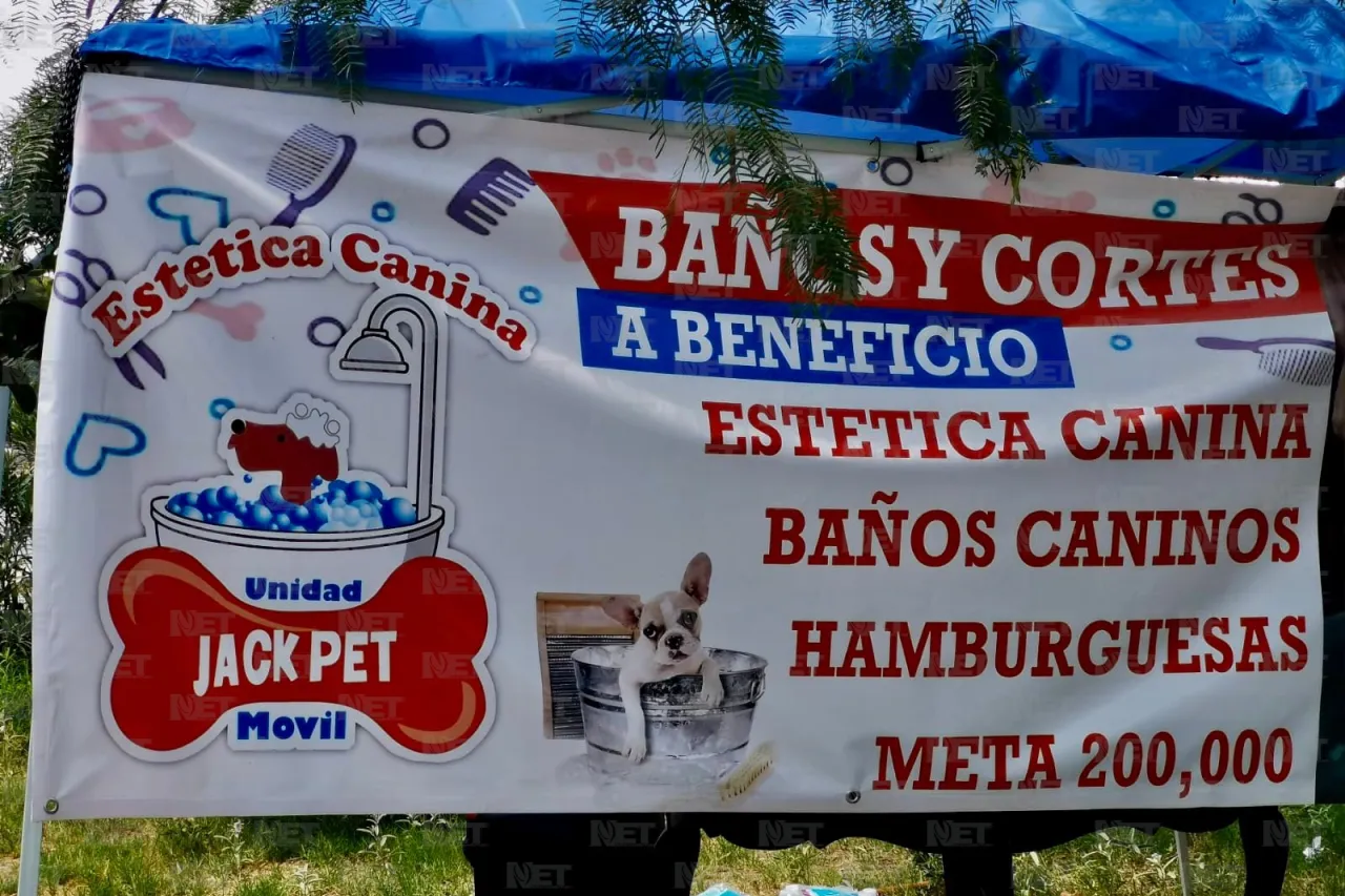 Invitan a festival canino en Villahermosa
