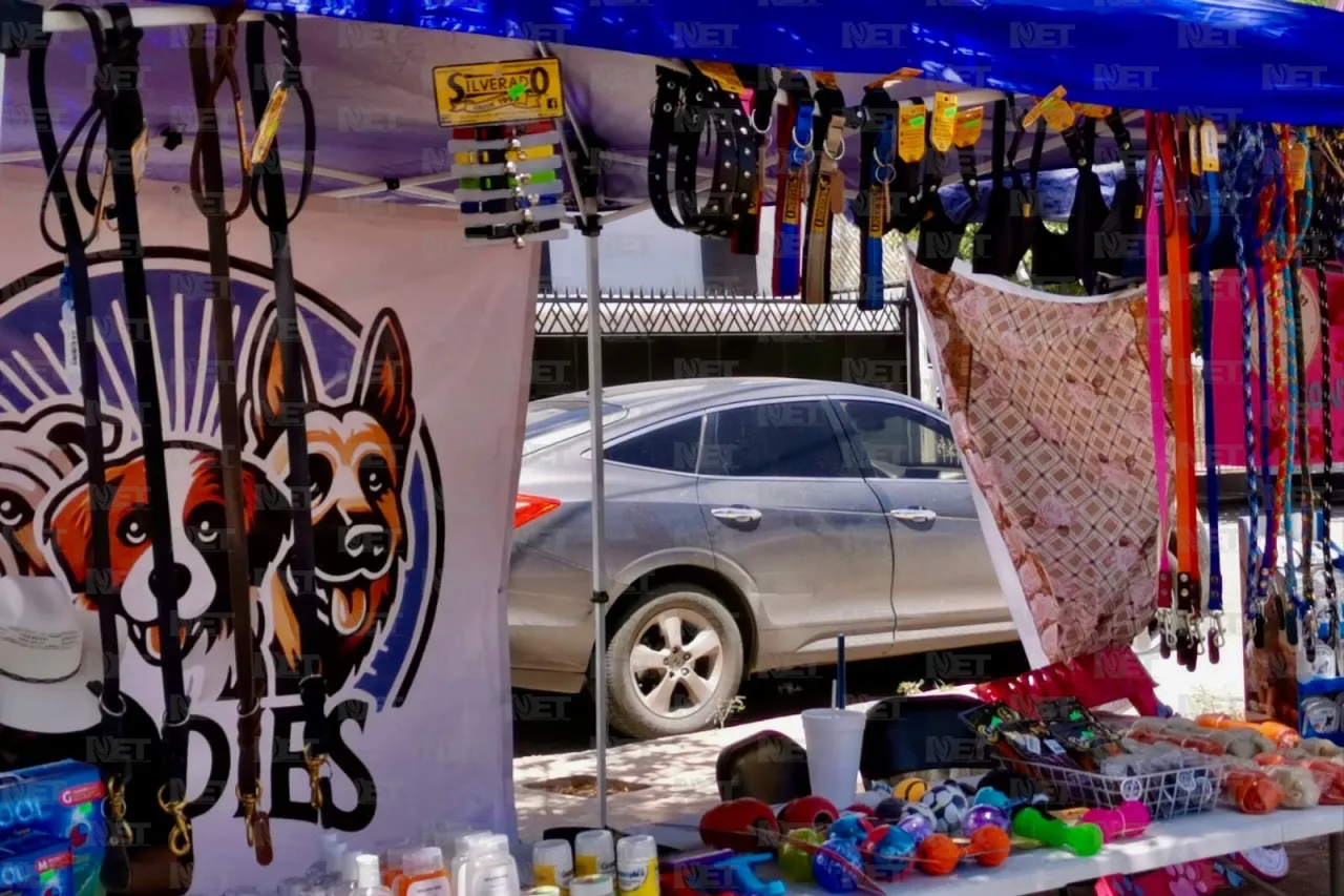 Invitan a festival canino en Villahermosa