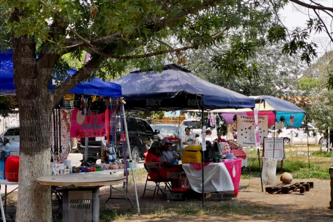 Invitan a festival canino en Villahermosa