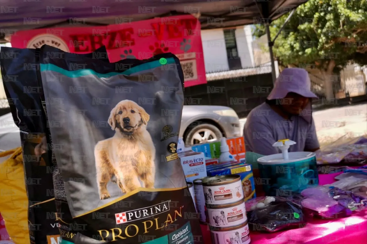 Invitan a festival canino en Villahermosa