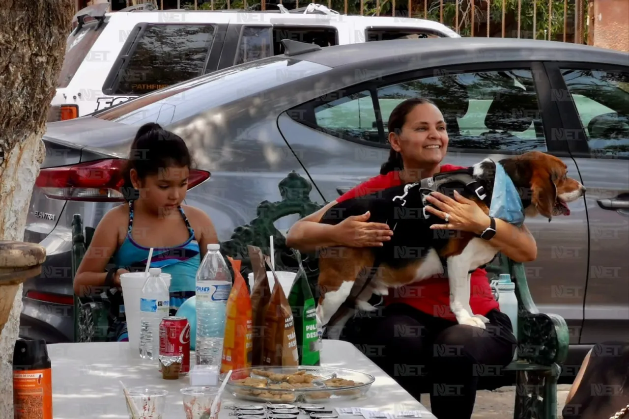 Invitan a festival canino en Villahermosa