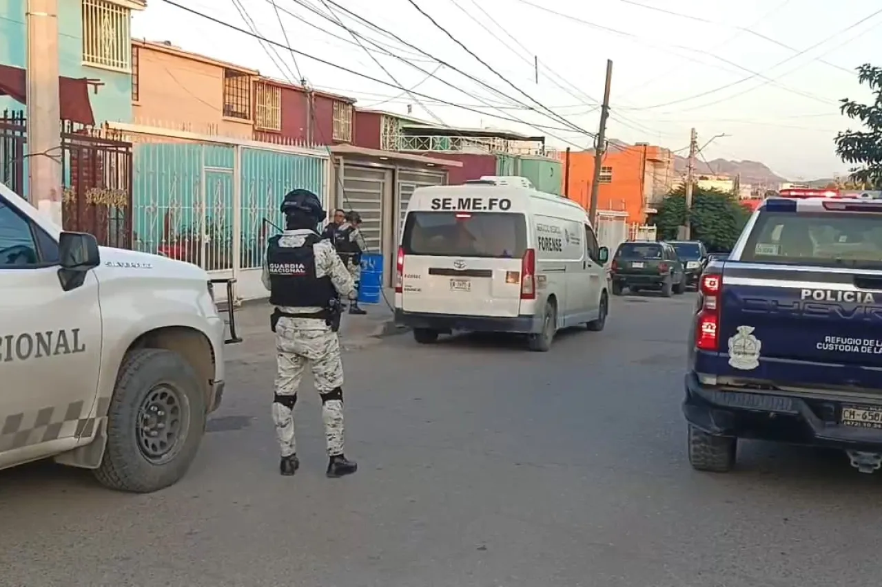 Perros estaban recostados en regazo de dueño fallecido