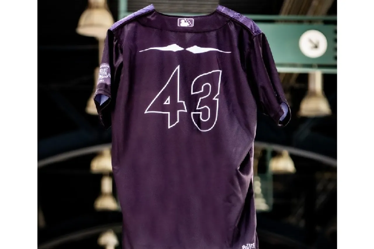 Presentan Chihuahuas jersey especial de Harry Potter
