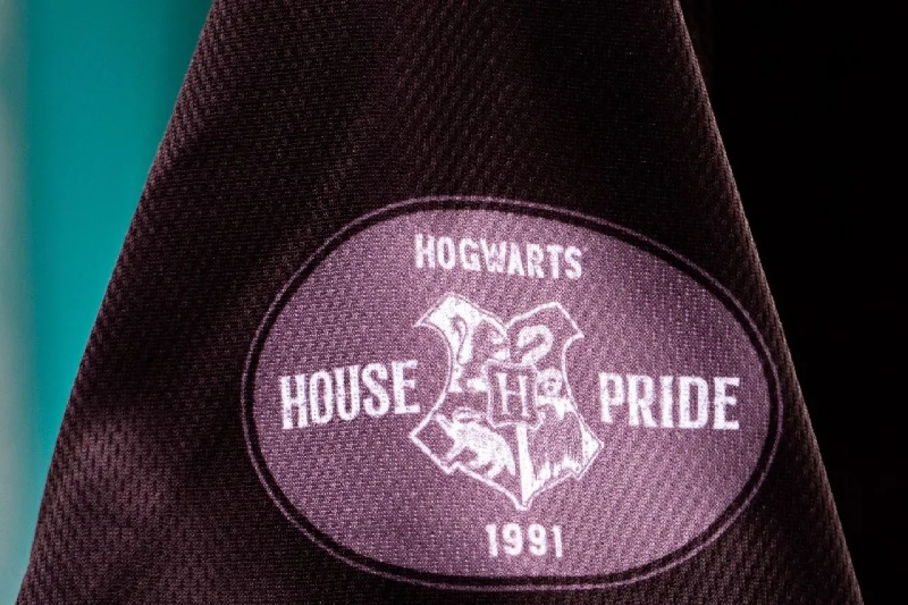 Presentan Chihuahuas jersey especial de Harry Potter