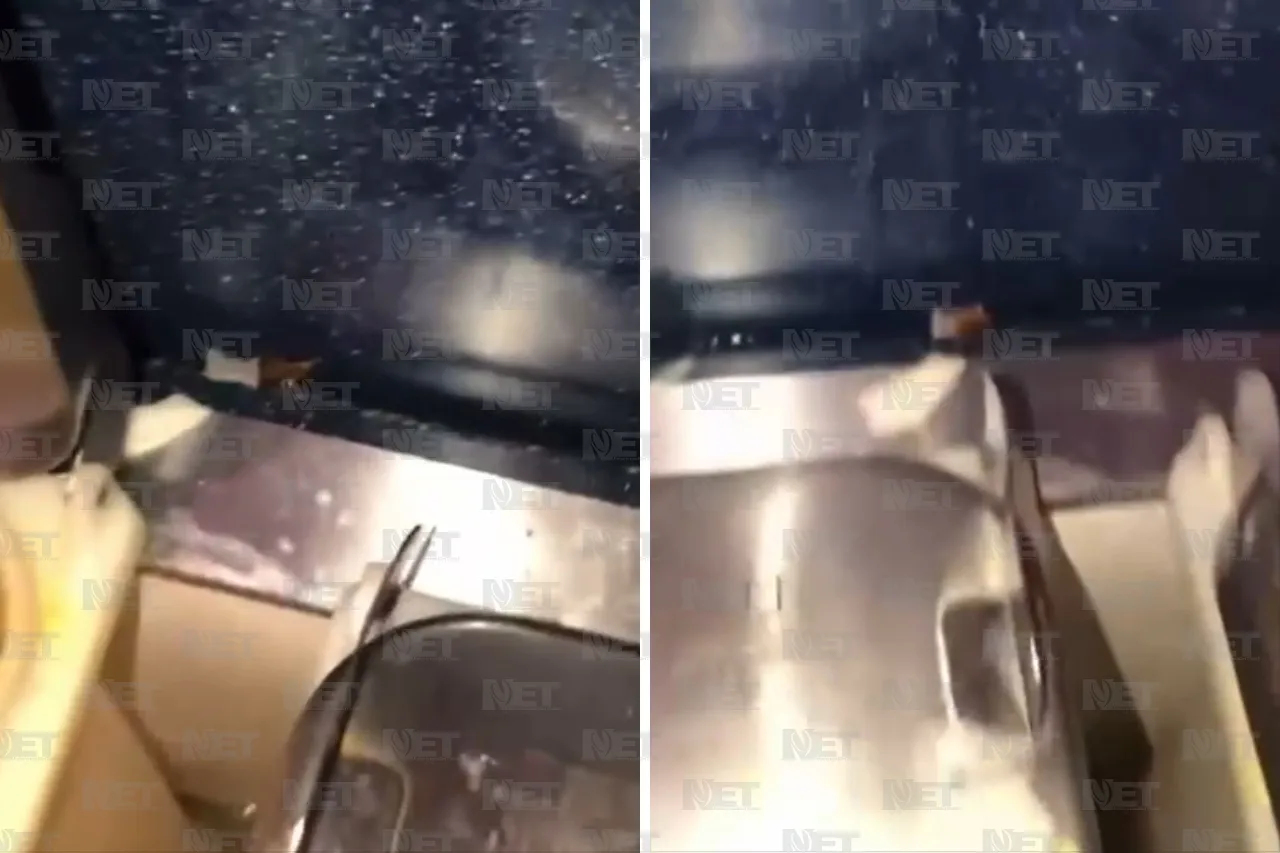 Video: Clientes exhiben cucarachas en Cinépolis