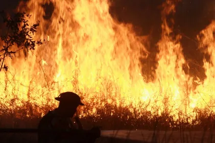 Tienen Chihuahua 22 incendios activos a días de comenzar la temporada