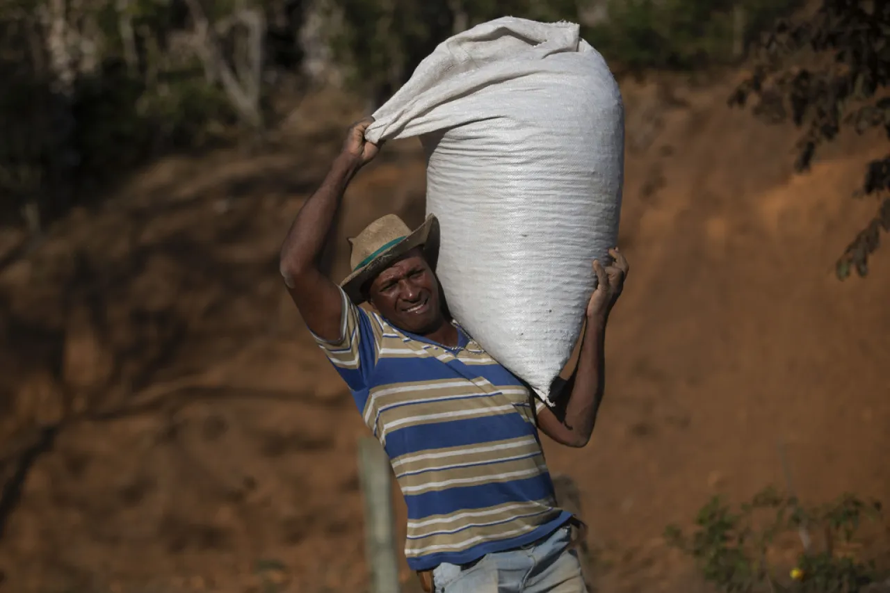 Productores brasileños temen por arancel del 50% al café impuesto por Trump