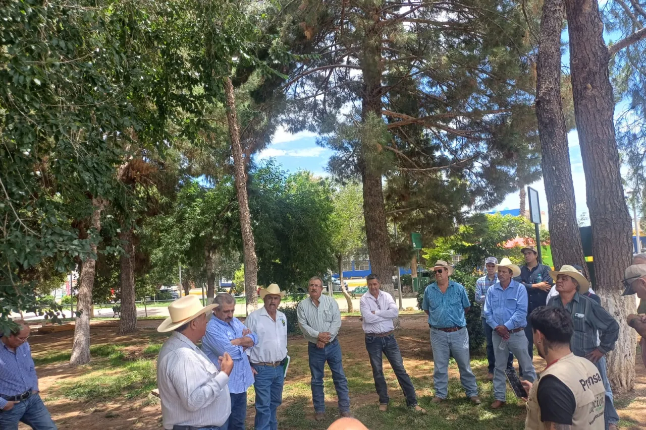 Pese a lluvias, el campo sigue en crisis: productores se organizan