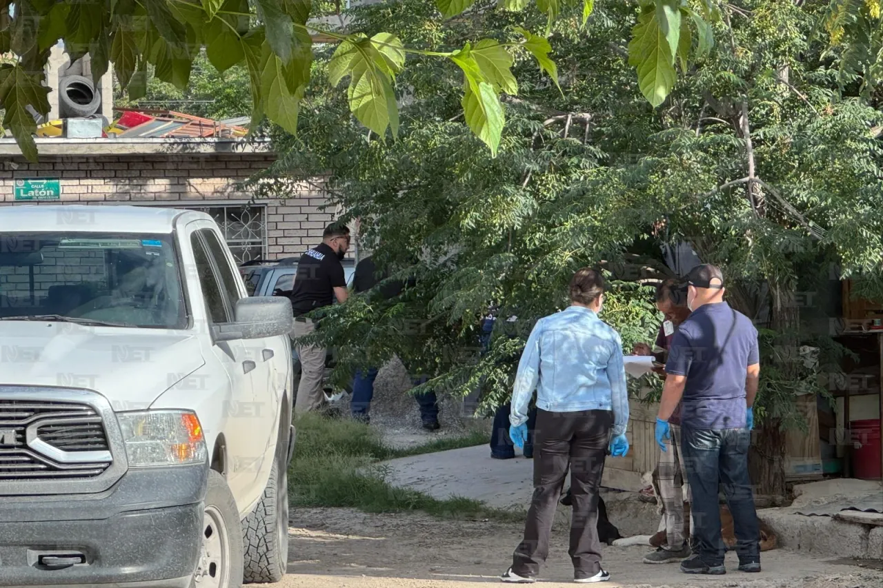 Tras quejas por olores fétidos, catean bodega de Funeraria del Carmen