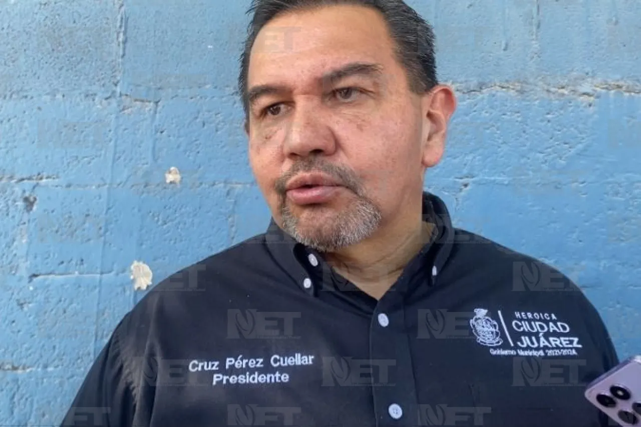 Dámaris Arellanes