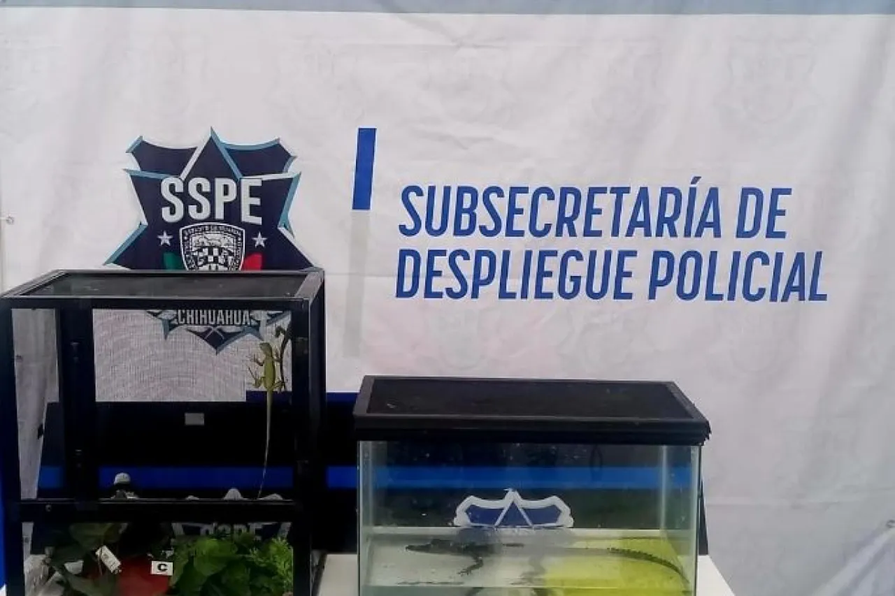 Cortesía