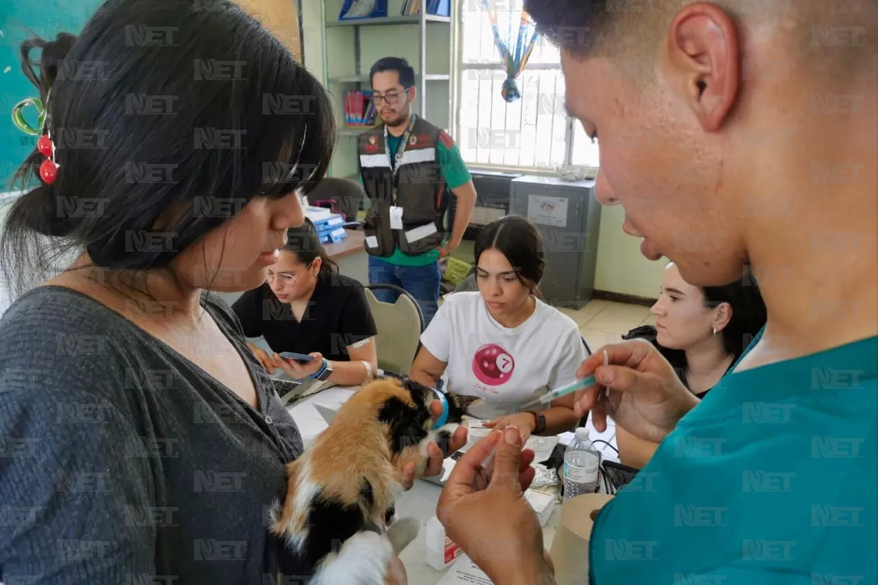 Realizan jornada de esterilización gratuita en Riberas del Bravo
