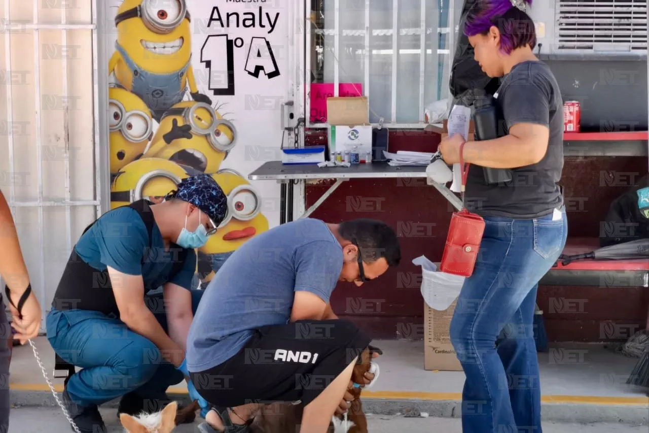 Realizan jornada de esterilización gratuita en Riberas del Bravo
