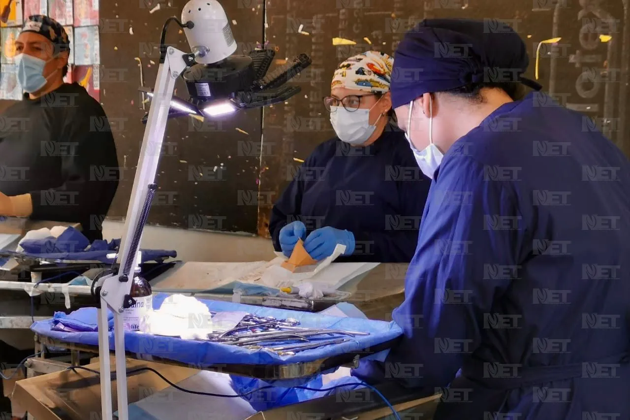 Realizan jornada de esterilización gratuita en Riberas del Bravo