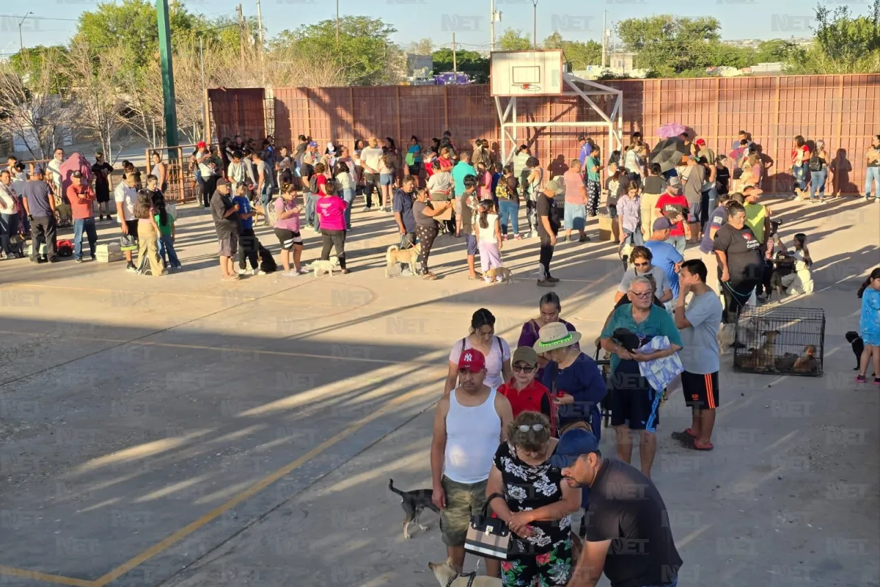 Realizan jornada de esterilización gratuita en Riberas del Bravo