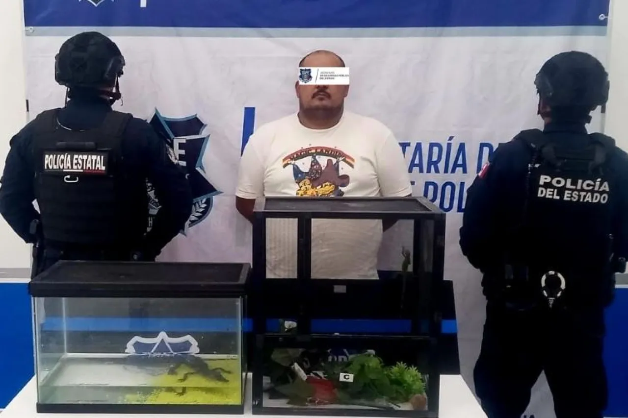 Cortesía