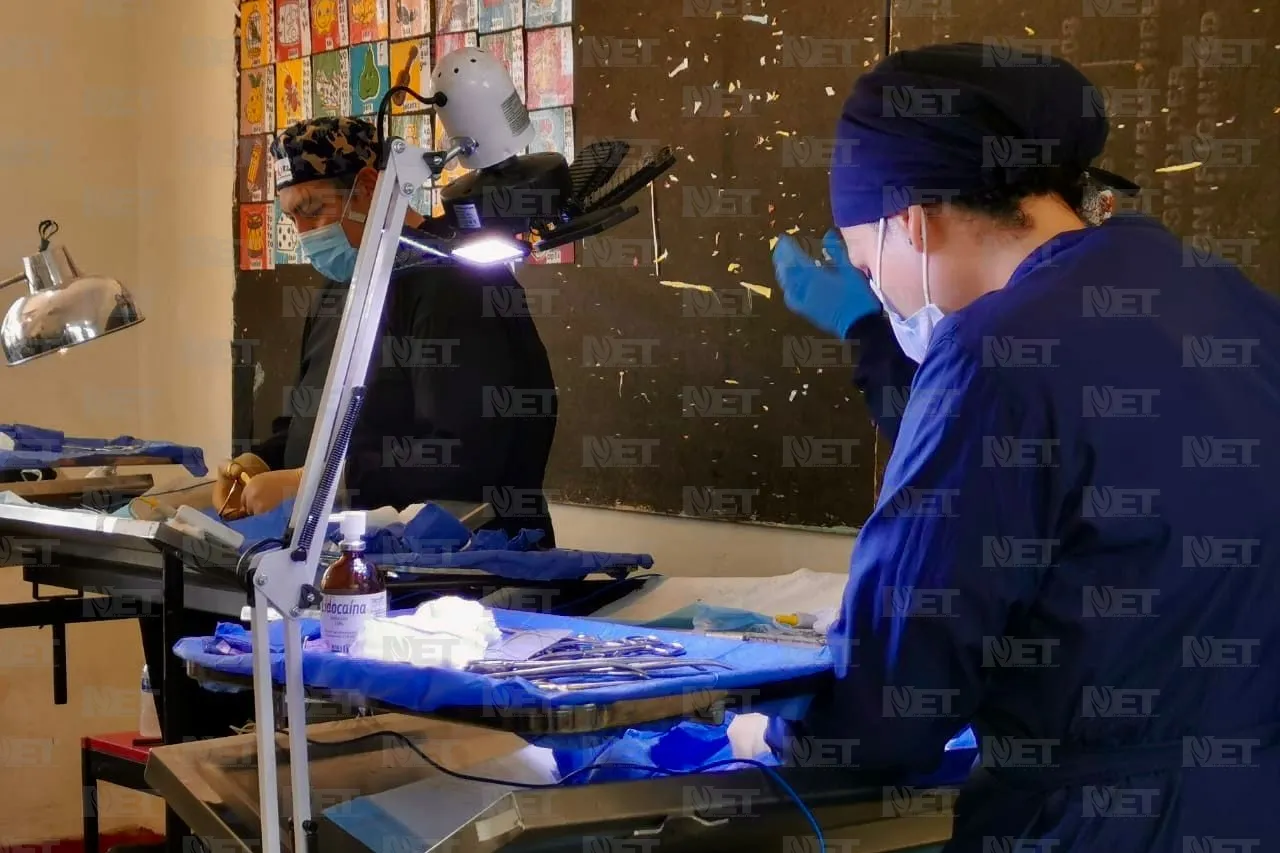 Realizan jornada de esterilización gratuita en Riberas del Bravo