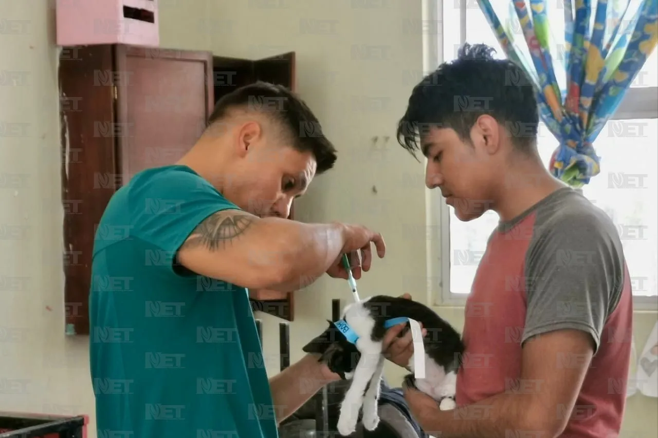 Realizan jornada de esterilización gratuita en Riberas del Bravo