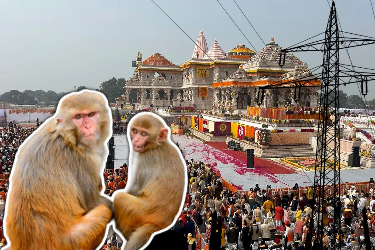 Monos muerden cables y desatan estampida en templo; van 35 heridos y 2 muertos