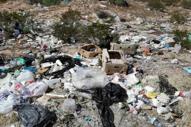 Multan a dueños de 12 terrenos por incumplir con la limpieza