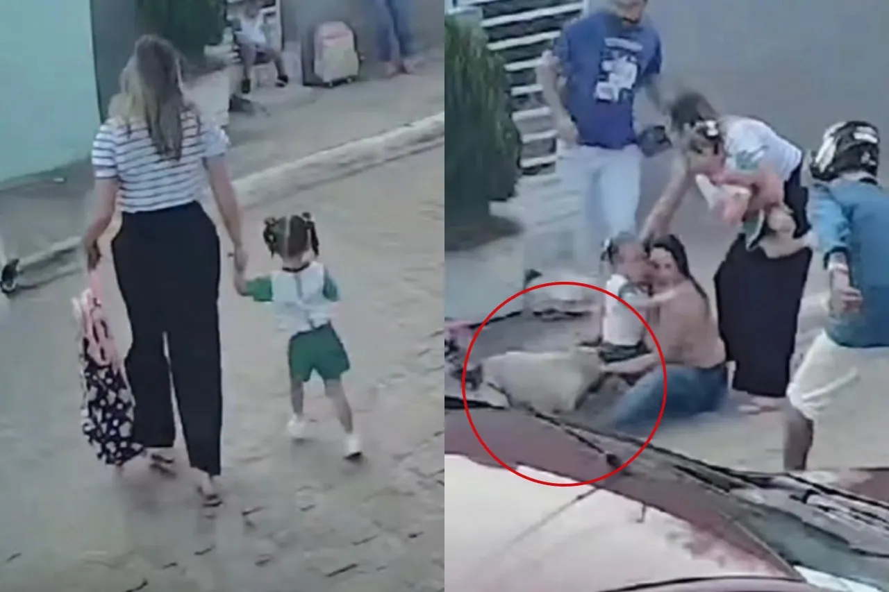 Pitbull ataca a madres y sus dos hijas mientras esperaban transporte escolar