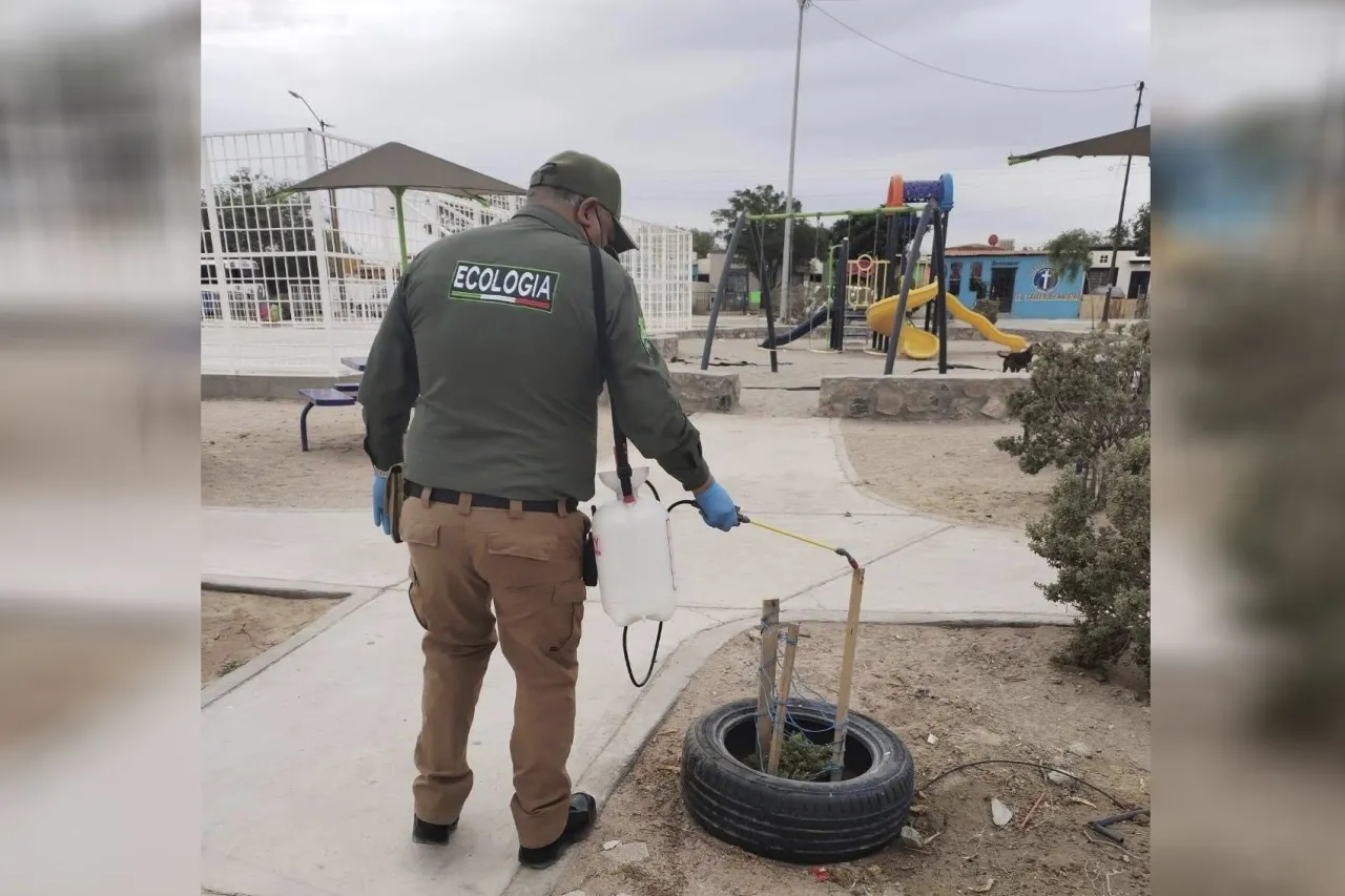Prevén fumigar 500 escuelas antes del regreso a clases