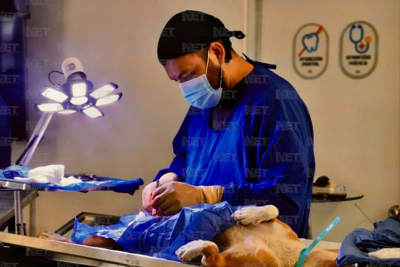 Realizan campaña de esterilización gratuita en el kilómetro 29