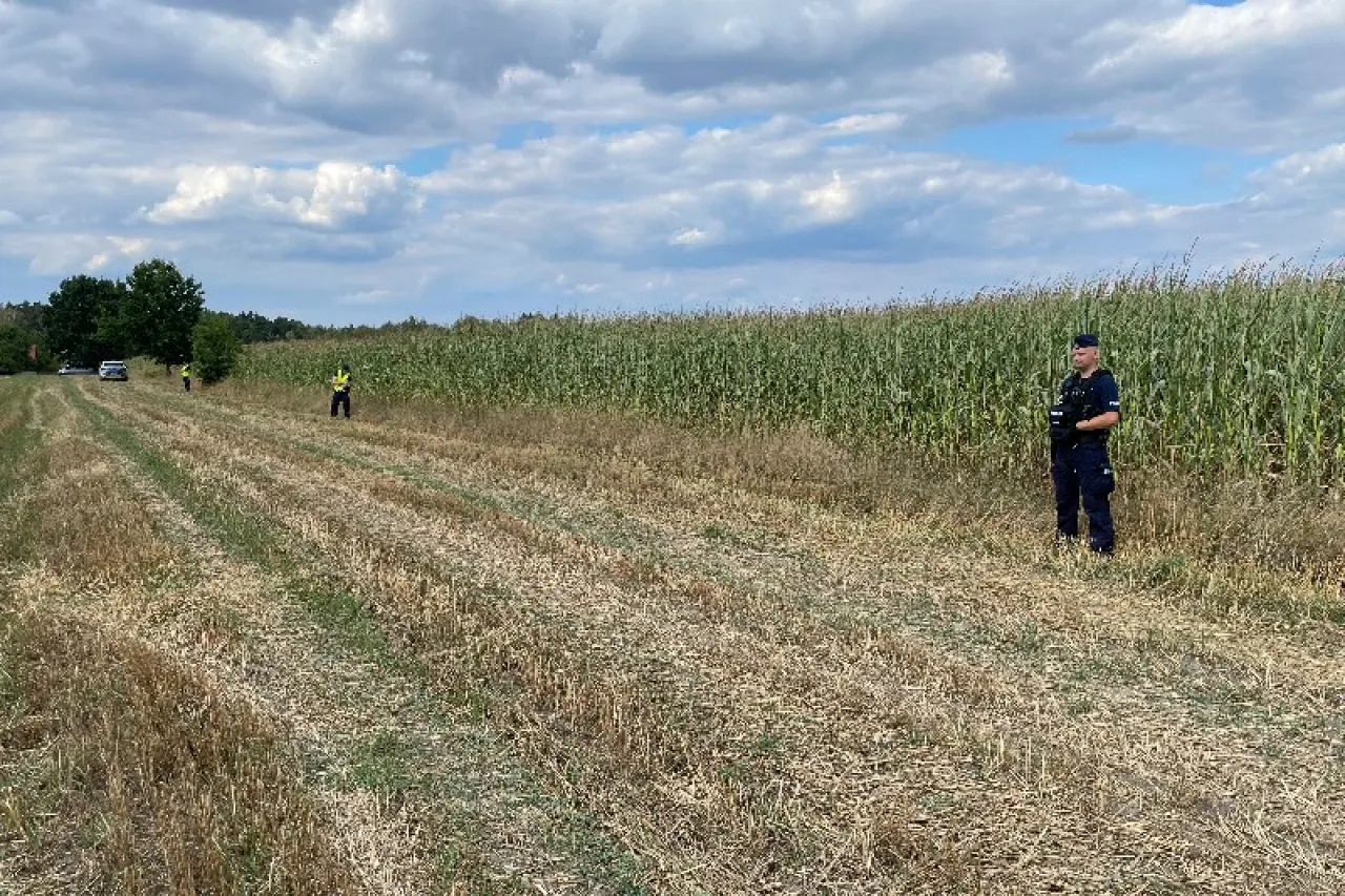 Video: Se estrella 'Ovni' en maizal de Polonia