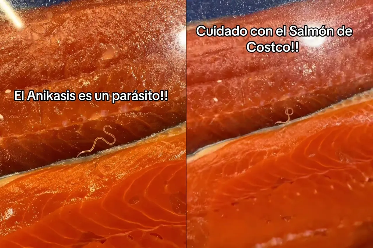 Cliente encuentra peligroso parásito en charola de salmón de Costco