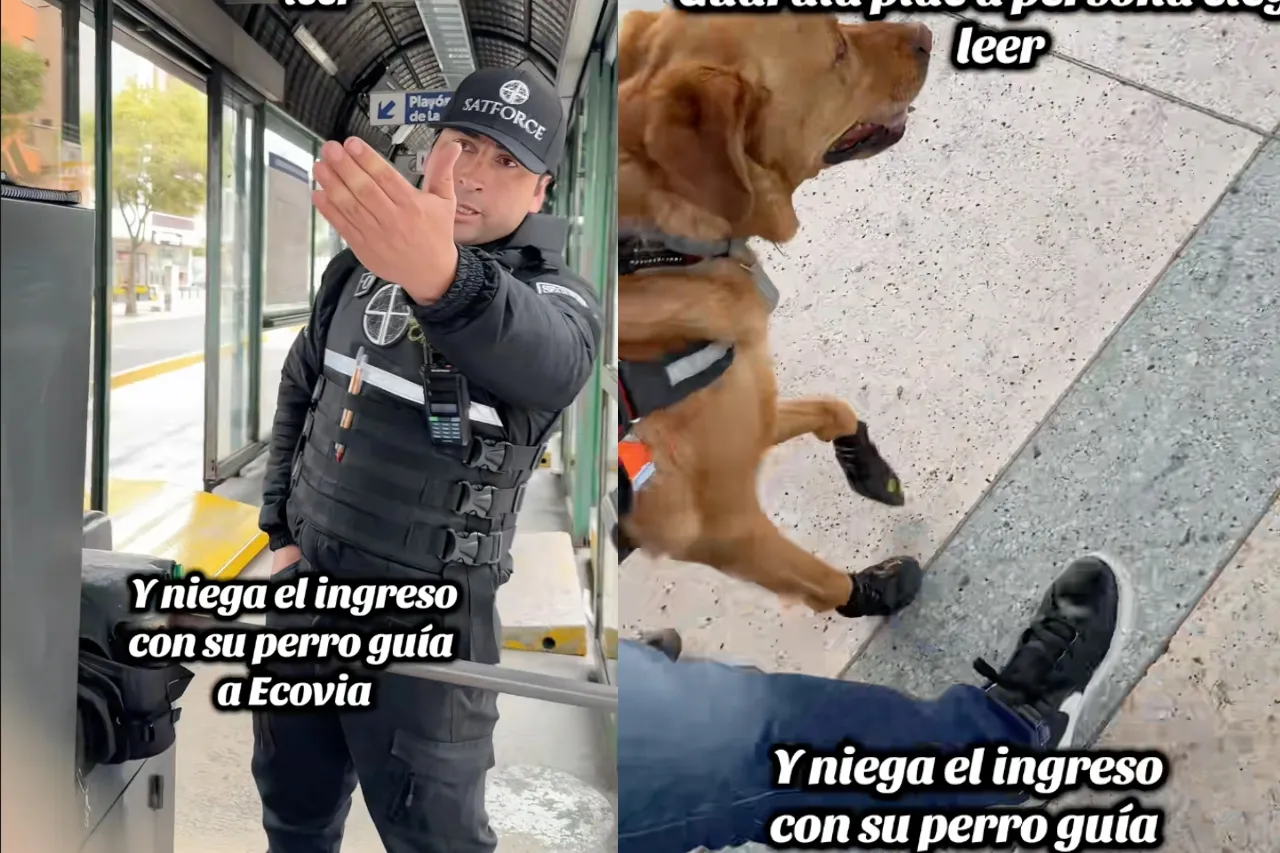 Guardia pide a persona ciega leer reglas y le niega acceso a bus con perro guía