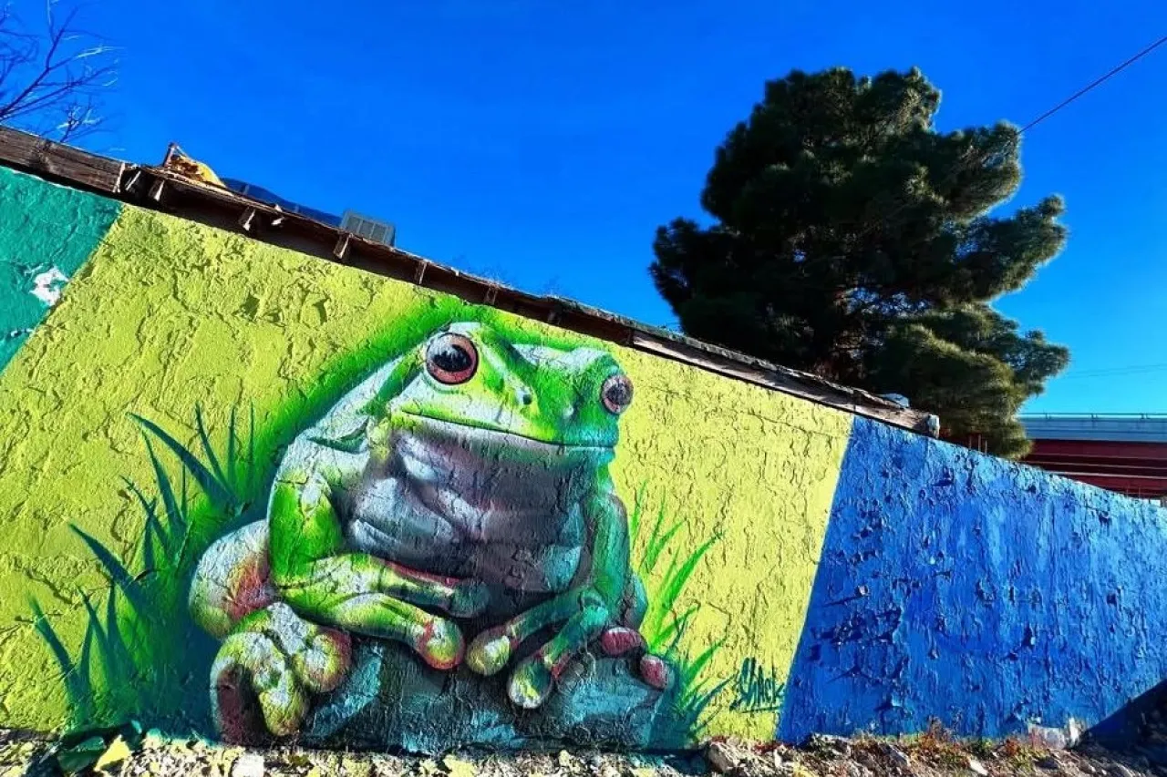 Cortesía