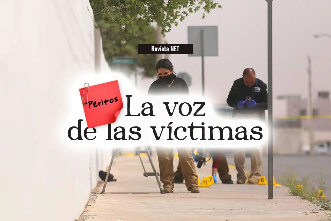 Net Noticias