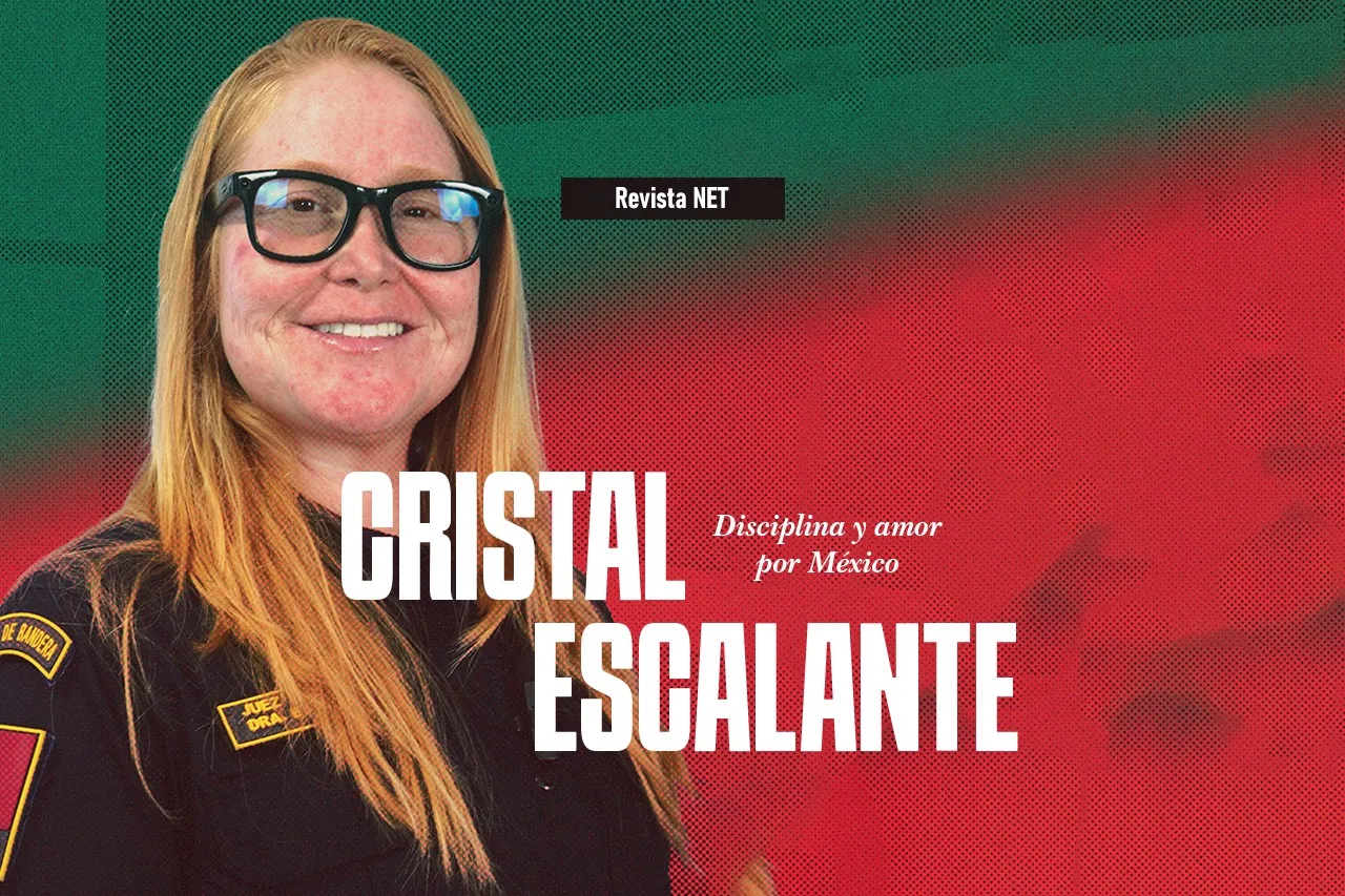 Net Noticias